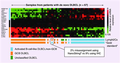 NanoString gene-expression profiling using the Lymph2Cx assay. DLBCL:... | Download Scientific ...