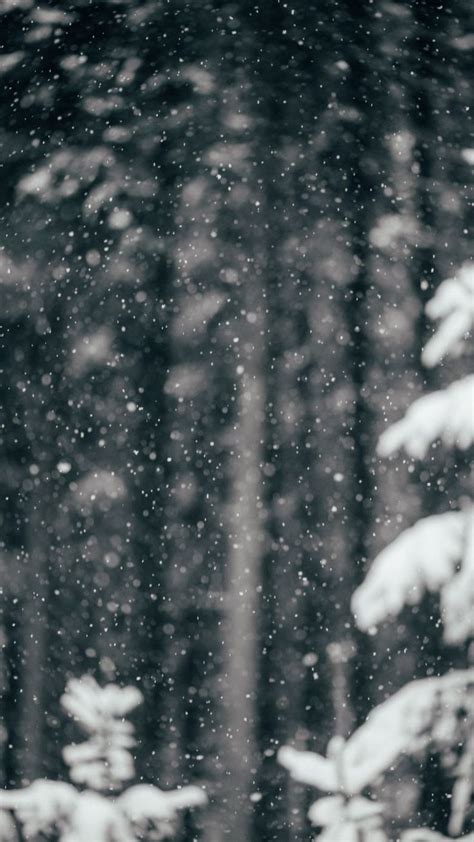 A snowfall wallpaper for your iphone. Check out a selection of winter ...