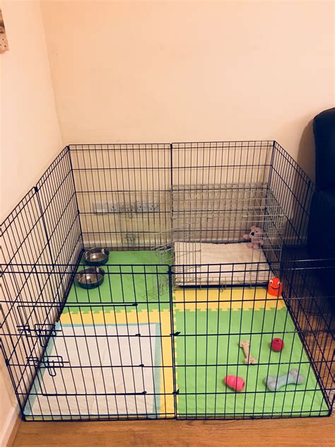 Dog playpen & Crate layout #wherecanibuyadogcrate | Puppy playpen, Dog playpen indoor, Dog playpen