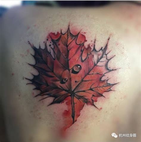 Tattoo | 纹身素材：枫叶