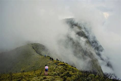 Munnar Meesapulimala Camping - Trip2kerala