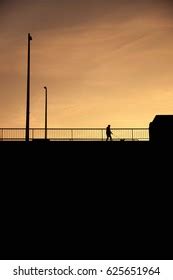 Dog Walking Sunset Silhouette Stock Photo 625651964 | Shutterstock