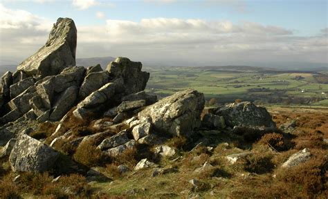 On-The-Stiperstones - Daisy Bank