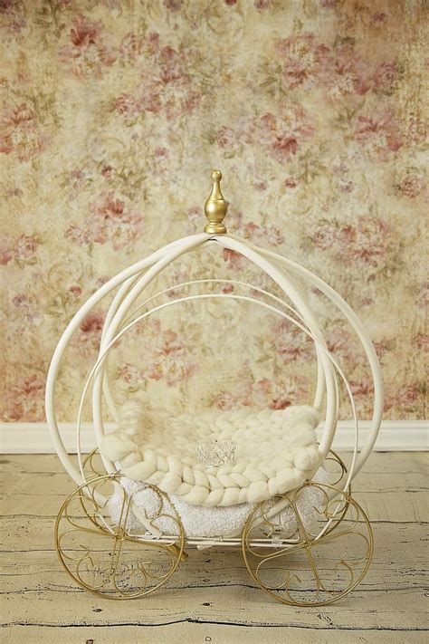 carriage, baby, princess, newborn, digital backdrop, cinderella | Pikist