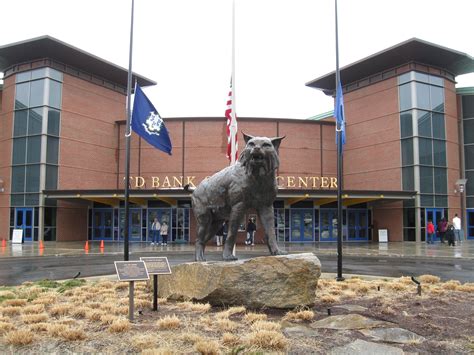 Quinnipiac Basketball | Sports, Hockey arena, Quinnipiac university