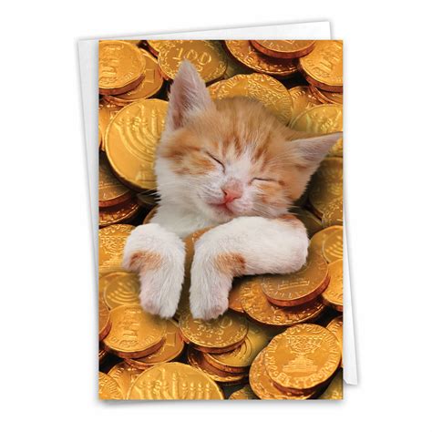 1 Funny Chanukah Card with Envelope - Cat In Gelt C3487HKG - Walmart.com