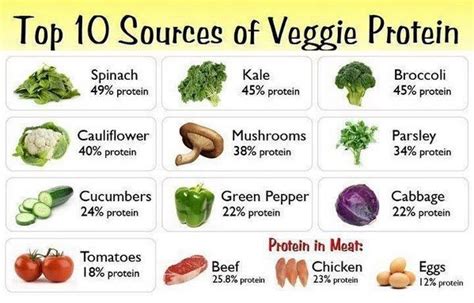 Examples of High Protein Foods | vegetables high on protein | Projects to Try in 2019 | High ...