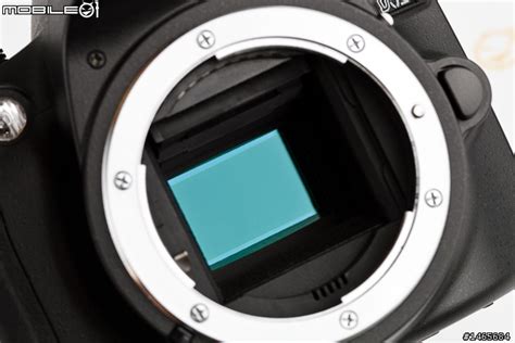 24MP sensors on Nikon DX bodies: An in-depth comparison - Nikon Rumors ...