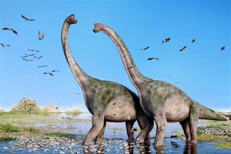 Sauropod dinosaurs lived only in Earth's warmer regions • Earth.com