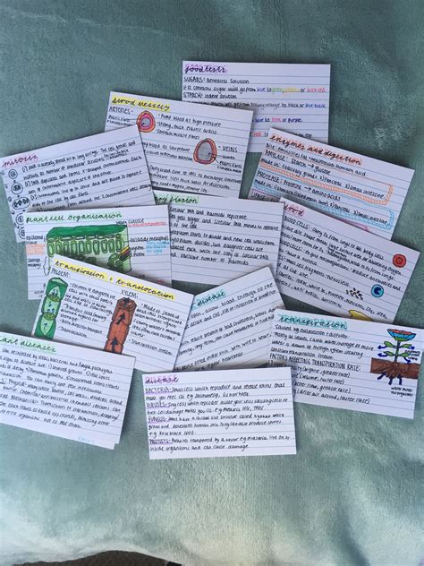 Simple Biology Flashcards Gcse Vocabulary Index Cards