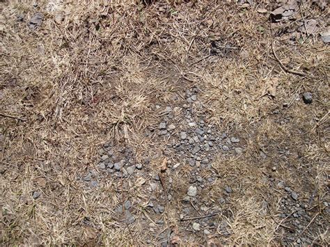 ground texture Free Photo Download | FreeImages