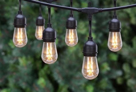 Edison Bulb String Lights – Eventful Rental