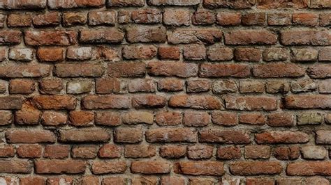 FREE 3D REALISTIC BRICK TEXTURE BLENDER free 3D model | CGTrader