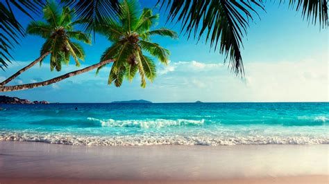 Tropical Beach Theme for Windows 10