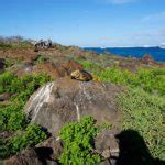 Galapagos Adventure tours Reviews 2023 - GalapagosInformation.com Blog