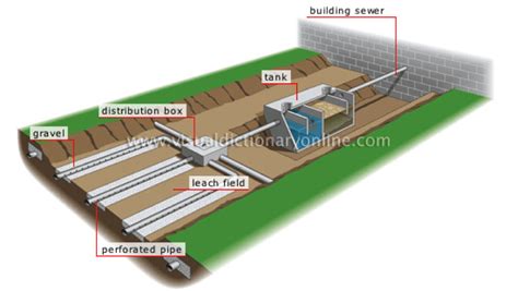 What are the components of a Septic System?