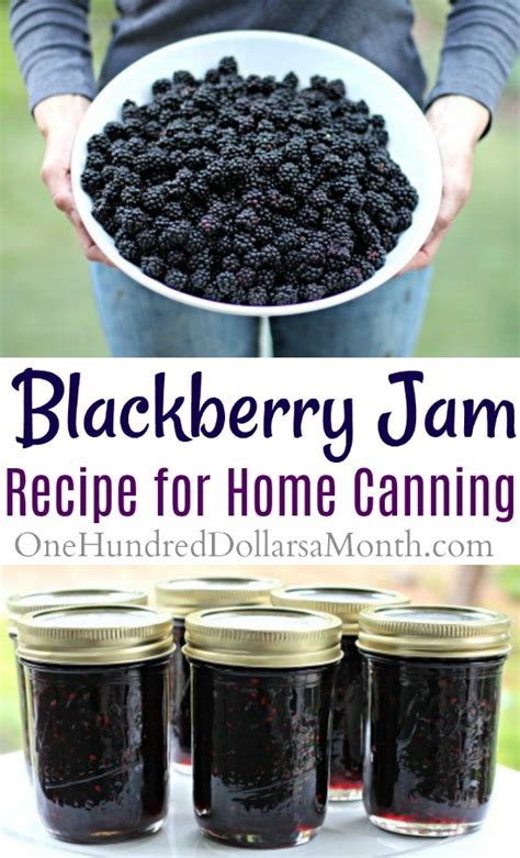 Canning 101 - How to Make Blackberry Jam - One Hundred Dollars a Month