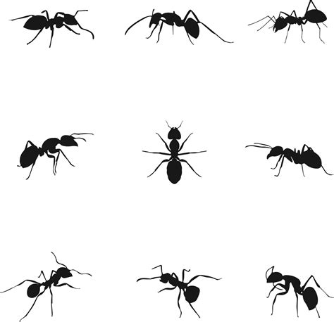 silhouette ant set bundle - free vector 10756585 Vector Art at Vecteezy