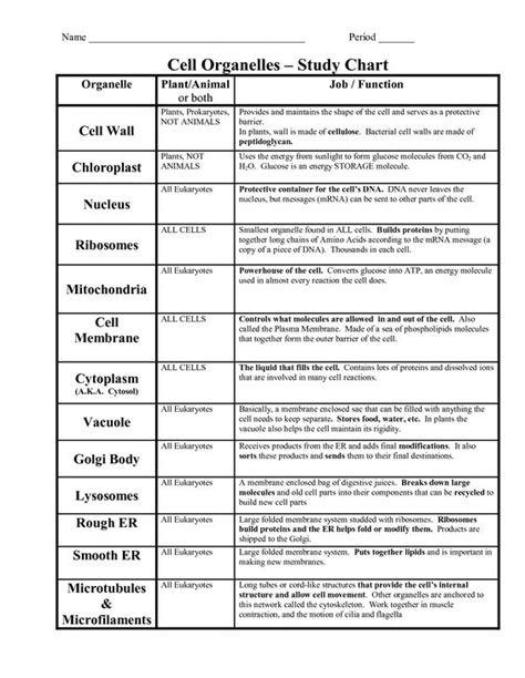 Animal Cell Organelles Their Functions Chart | School Projects | Pinterest | Cell structure ...