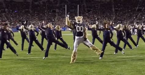 BYU Mascot Cosmo Cougar Dances With Cougarettes– InspireMore