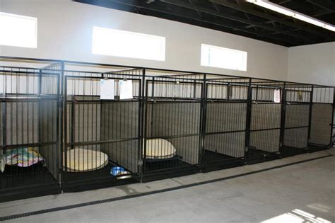 Dog & Cat Boarding, Dog Grooming, Doggy Daycare: Boise, ID: Emerald Street Kennels