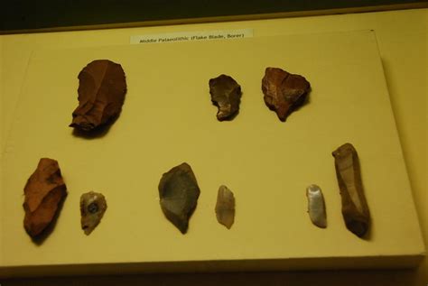 Mesolithic age artifacts | Photo