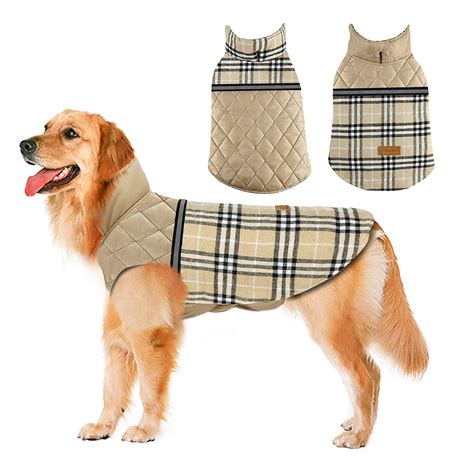 The 10 Best Dog Coats for Winter in 2022 Reviews
