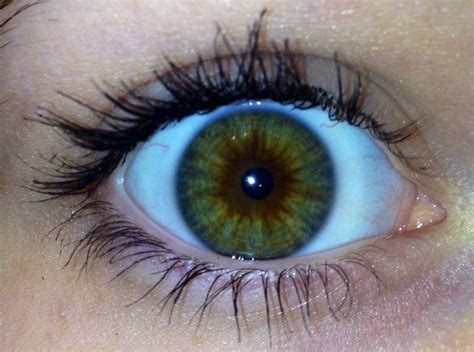 My hazel eye up close : eyes