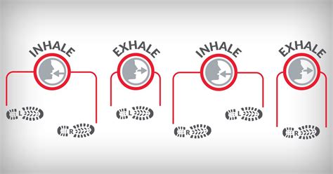 Breathing Basics for Runners | Breathing techniques, Running techniques, Running breathing