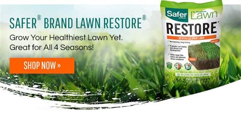 How to Kill Grubs in Your Lawn