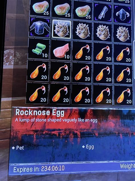 How to hatch rocknose egg - Players Helping Players - Funcom Forums