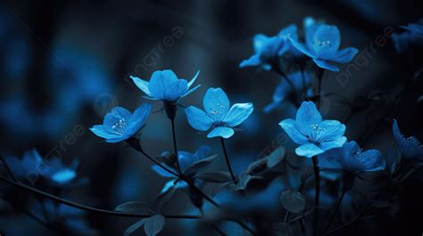 Black And Blue Flowers Background