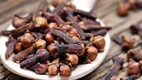 Chewing clove on empty stomach can do wonders for your health; know all benefits | Health ...