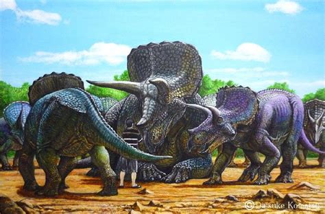 Eotriceratops is a larger species of triceratops. larger than a human as well about 4-5 tons ...