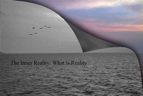 The Inner Reality: What is Reality | by wholenous | Medium