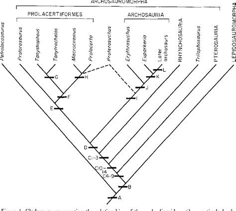 Figure 4 from Classification and phylogeny of the diapsid reptiles ...