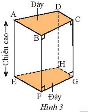 Quan sát hình lăng trụ đứng tứ giác trong Hình 3.