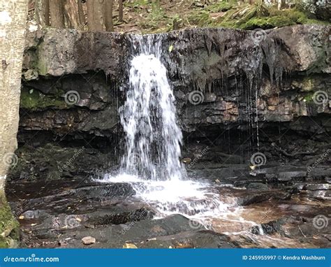 Landscapes and Nature Images in PA Stock Image - Image of groundhog ...