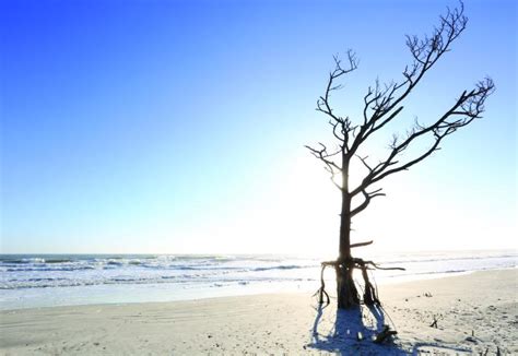 Little Talbot Island State Park | Florida State Parks