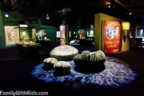 The Moomin Museum in Tampere, Finland | Finland FamilyWithKids.com