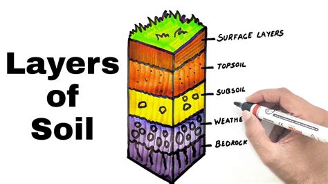 Layers of soil Diagram Easy | Layers of soil Drawing Easy | YoKidz ...