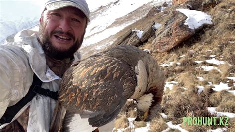 Охота на гималайского улара. Hunting Himalayan snowcock in Kazakhstan - YouTube