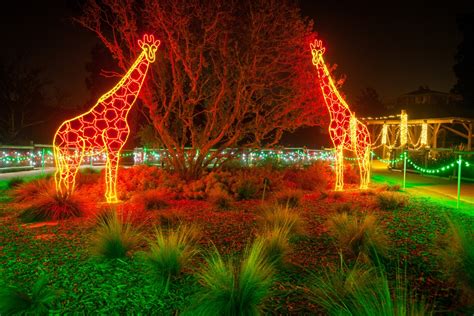 ZooLights - Fresno Chaffee Zoo