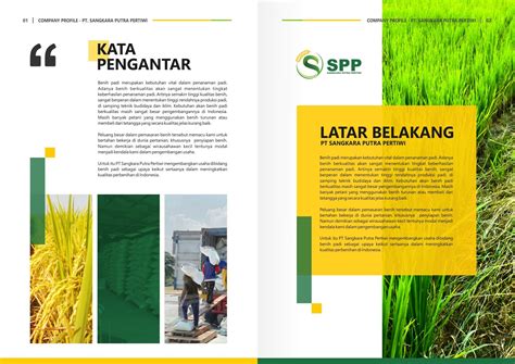 jasa desain company profile zannoism | Instagram template design ...