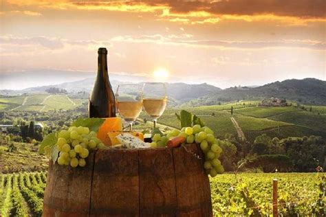 🍷 The 7 Best Chianti Wine Tours From Florence [2024 Reviews] | World Guides To Travel