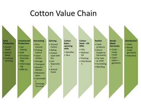 Cotton Value Chain