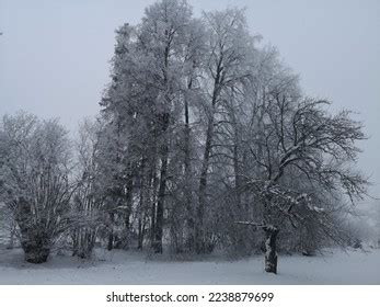 67,461 Winter Latvia Stock Photos, Images & Photography | Shutterstock