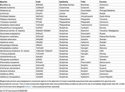 Weevil species included in this study. | Download Table