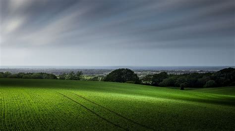 GREEN MEADOWS | Green meadow, Earth nature, Meadow