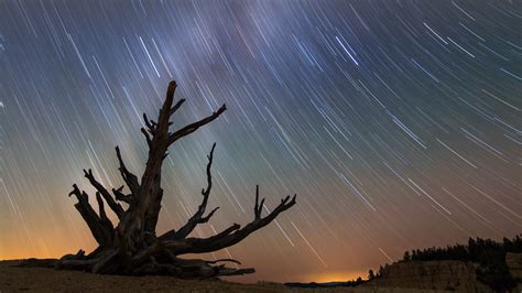 Milky Way star trails behind bristlecone pine, Bryce Canyon National Park, Utah, USA | Windows ...